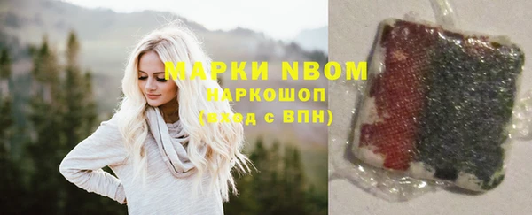 сатива Белокуриха