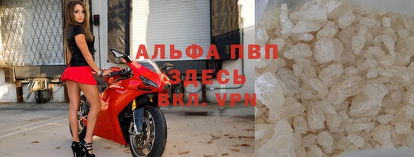 сатива Белокуриха