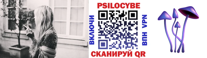 Галлюциногенные грибы Psilocybine cubensis  хочу   Киров 